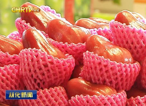 京東中國特產(chǎn)·從化館盛大開幕，優(yōu)質(zhì)農(nóng)副產(chǎn)品添新銷售渠道