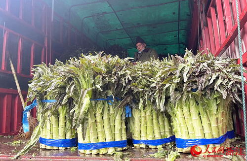新春走基層 24小時不打烊，守護萬家煙火氣——走訪華東最大農副產品集散地