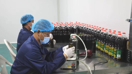 黃龍奏響春耕“變奏曲” 特色農副產品的綠色發展與鄉村振興新篇章