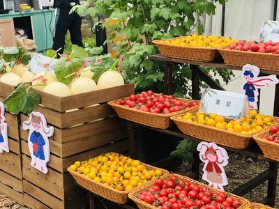 品蔬果、釣龍蝦…玩轉四季嘉年華 桐鄉鄉村振興的田園交響曲