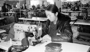 數字化賦能農副產品流通 從田間到餐桌的智慧轉型