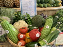 上林扶貧農副產品展銷中心在南寧揭牌 架起產銷橋梁，助力鄉村振興