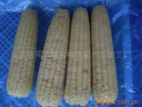 安新縣同口鎮寶峰農副產品加工廠 助力鄉村產業振興的實踐者