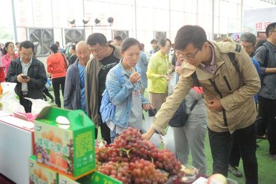 再見2018，與你同行的農副產品時光